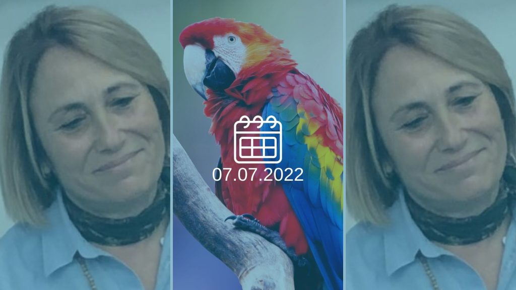 הדס קליין, עדת תביעה בתיק 1000 (צילום: אלי ציפורי)